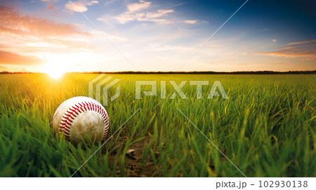 草原の野球のボール「AI生成画像」 102930138