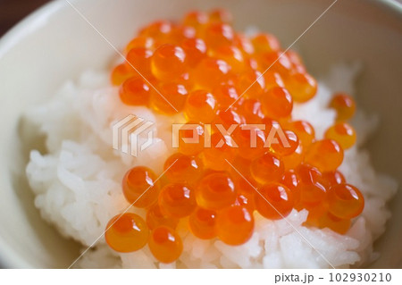 甘くて美味しいイクラご飯 甘くて美味しいイクラご飯 102930210