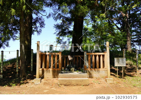 新府城跡 武田勝頼公霊社 山梨県韮崎市中田町 新府城跡 武田勝頼公霊社 山梨県韮崎市中田町 102930575