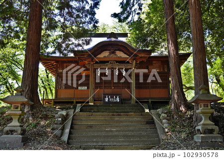 新府城跡　藤武神社　 山梨県韮崎市中田町 102930578