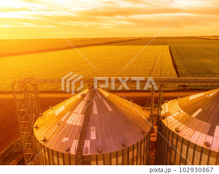 Grain silos on a green field background with warm sunset light. Grain elevator. Metal grain elevator in agricultural zone. Agriculture storage for harvest. Aerial view of agricultural factory. Nobody. Grain silos on a green field background with warm sunset light. Grain elevator. Metal grain elevator in agricultural zone. Agriculture storage for harvest. Aerial view of agricultural factory. Nobody. 102930867