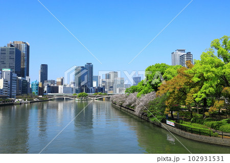 大川沿い満開の桜並木と中之島ビル街風景 大川沿い満開の桜並木と中之島ビル街風景 102931531