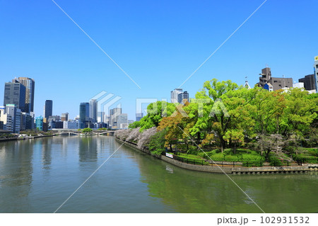 大川沿い満開の桜並木と中之島ビル街風景 102931532