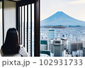 窓から外を眺める女性 102931733