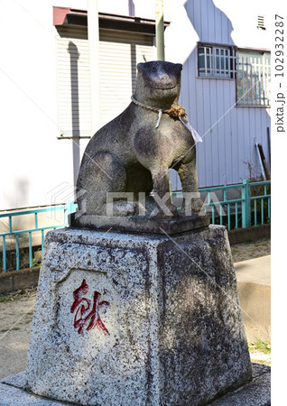 川口散歩：芝樋ノ爪・御嶽（おんたけ）神社　狛犬 102932287