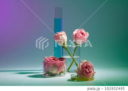 Fresh roses placed on laboratory glassware and decorated on gradient color background. Minimal scene with copy space. Abstract background, research organic cosmetics concept 102932495