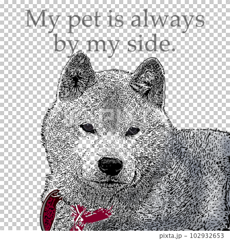 your pet is always with you 102932653