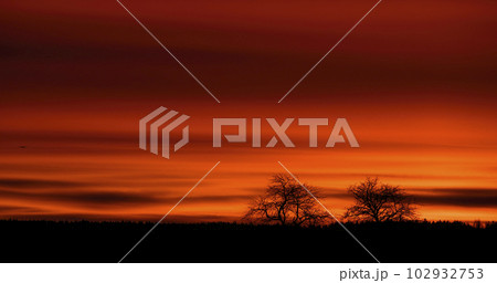 Autumn red sunset with trees on he horizon Autumn red sunset with trees on he horizon 102932753