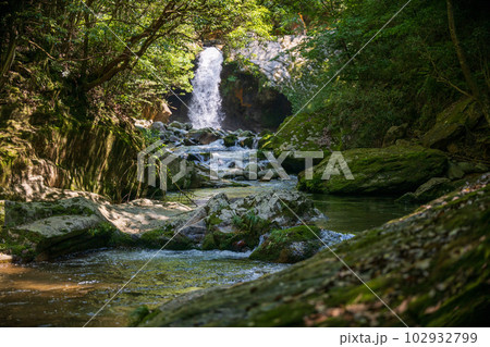 初夏の爽やかな風が青もみじを揺らす岳間渓谷と滝との新緑風景 初夏の爽やかな風が青もみじを揺らす岳間渓谷と滝との新緑風景 102932799