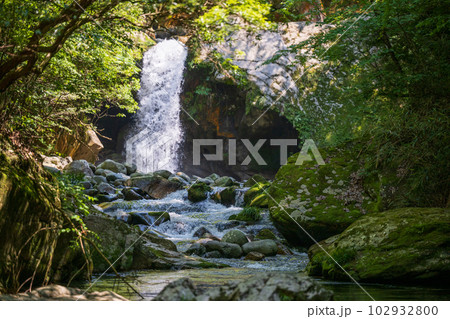 初夏の爽やかな風が青もみじを揺らす岳間渓谷と滝との新緑風景 102932800