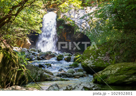 初夏の爽やかな風が青もみじを揺らす岳間渓谷と滝との新緑風景 102932801