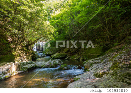 初夏の爽やかな風が青もみじを揺らす岳間渓谷と滝との新緑風景 初夏の爽やかな風が青もみじを揺らす岳間渓谷と滝との新緑風景 102932810