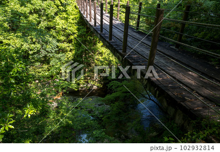 初夏の爽やかな風が青もみじを揺らす岳間渓谷と滝との新緑風景 初夏の爽やかな風が青もみじを揺らす岳間渓谷と滝との新緑風景 102932814