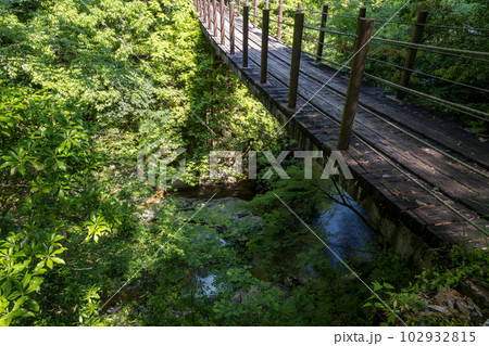 初夏の爽やかな風が青もみじを揺らす岳間渓谷と滝との新緑風景 102932815