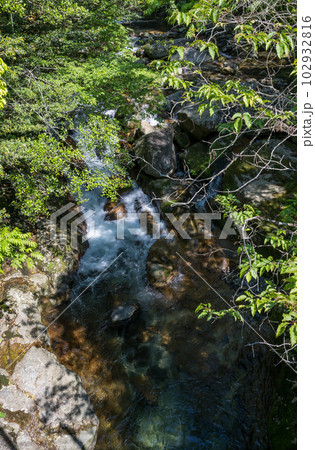 初夏の爽やかな風が青もみじを揺らす岳間渓谷と滝との新緑風景 102932816