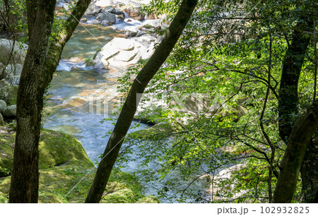 初夏の爽やかな風が青もみじを揺らす岳間渓谷と滝との新緑風景 102932825