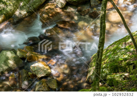 初夏の爽やかな風が青もみじを揺らす岳間渓谷と滝との新緑風景 102932832