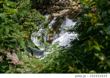 初夏の爽やかな風が青もみじを揺らす岳間渓谷と滝との新緑風景 102932834