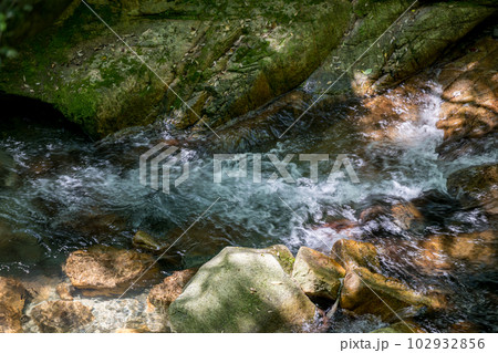 初夏の爽やかな風が青もみじを揺らす岳間渓谷と滝との新緑風景 102932856
