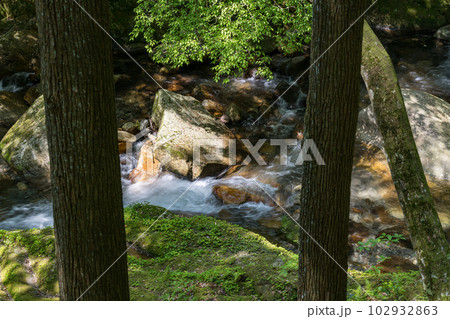 初夏の爽やかな風が青もみじを揺らす岳間渓谷と滝との新緑風景 102932863