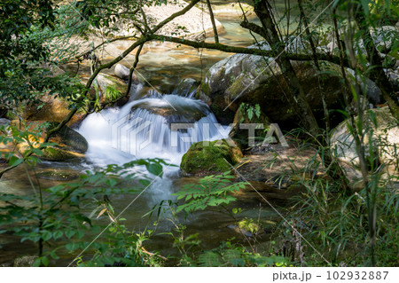 初夏の爽やかな風が青もみじを揺らす岳間渓谷と滝との新緑風景 初夏の爽やかな風が青もみじを揺らす岳間渓谷と滝との新緑風景 102932887