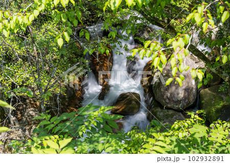 初夏の爽やかな風が青もみじを揺らす岳間渓谷と滝との新緑風景 102932891