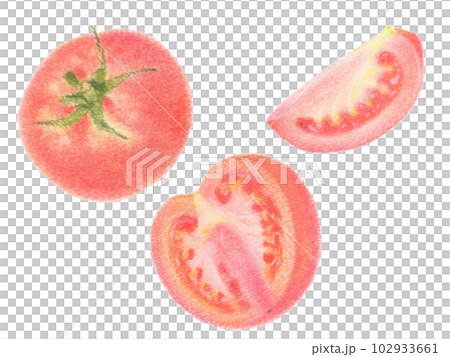 丸ごとトマトとカットされたトマト 102933661