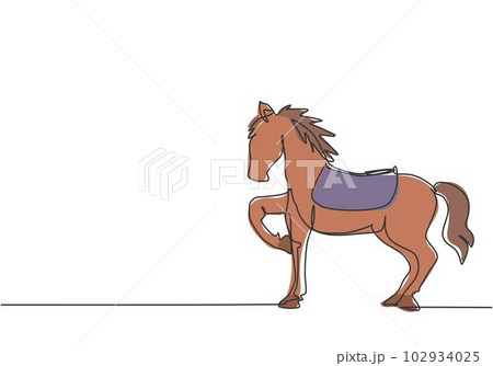 Continuous one line drawing a circus horse stands on the show arena, lifting one of its legs while preparing to perform an attraction. Trained horse. One line draw design vector graphic illustration. 102934025