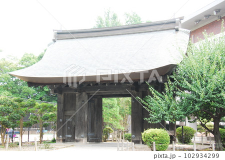 旧水戸城 薬医門(茨城県水戸市) 102934299