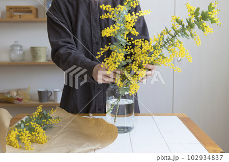 ミモザの切り花を花瓶にいける人物 102934837