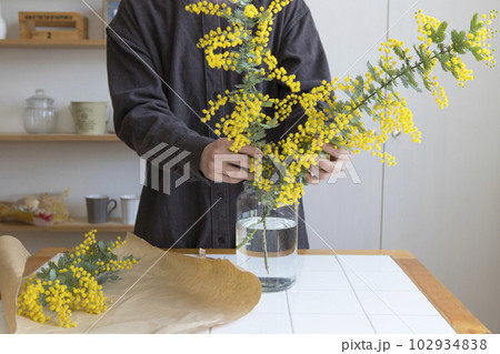 ミモザの切り花を花瓶にいける人物 102934838