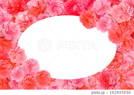 赤い花いっぱい 楕円フレーム 赤い花いっぱい 楕円フレーム 102935030