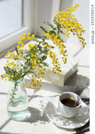 窓辺に置いたコーヒーとミモザの花 窓辺に置いたコーヒーとミモザの花 102936014