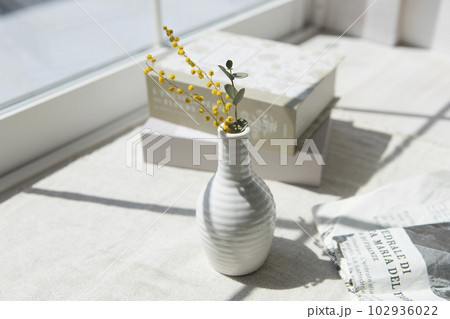 窓辺に飾った白い花瓶とミモザとユーカリ 窓辺に飾った白い花瓶とミモザとユーカリ 102936022