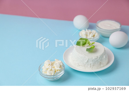 Concept of tasty food - different dairy products 102937169