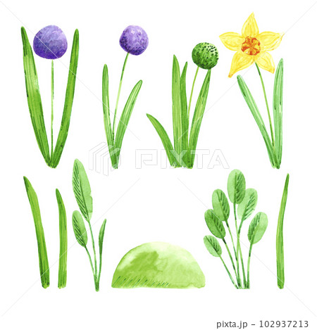 Hand drawn watercolor spring garden flowers with blooming hyacinth and daffodile on white background. Vintage illustration in rural style. 102937213