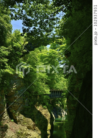 甲斐の猿橋と水路橋架かる桂川の渓谷 102937931