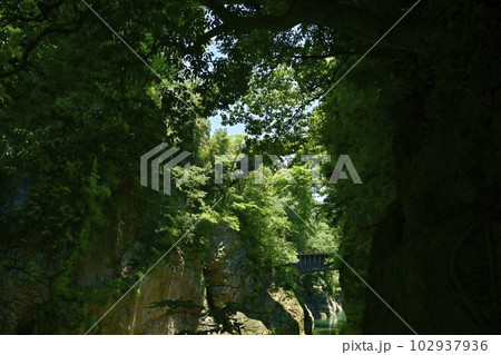 甲斐の猿橋と水路橋架かる桂川の渓谷 102937936
