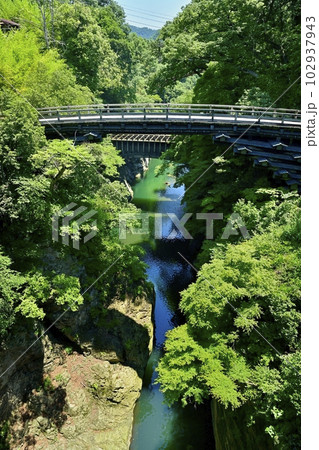 甲斐の猿橋と水路橋架かる桂川の渓谷 102937943