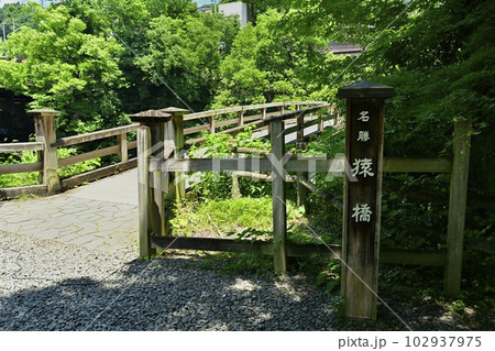 甲斐の猿橋 102937975