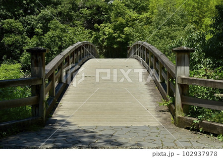甲斐の猿橋 102937978