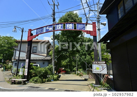 甲斐の猿橋の入口アーチ 甲斐の猿橋の入口アーチ 102937982