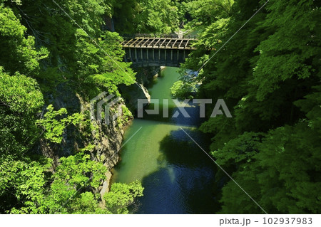 甲斐の猿橋と水路橋架かる桂川の渓谷 102937983