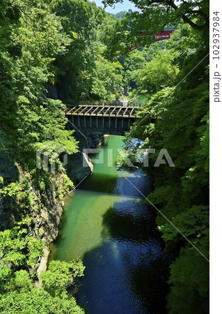 甲斐の猿橋下流の水路橋架かる桂川の渓谷に新猿橋 102937984