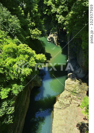 甲斐の猿橋架かる桂川の渓谷 102937989