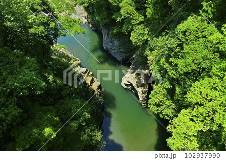 甲斐の猿橋架かる桂川の渓谷 甲斐の猿橋架かる桂川の渓谷 102937990