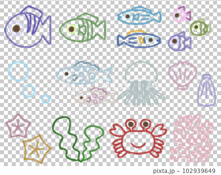 Sea creatures set F colorful contour Sea creatures set F colorful contour 102939649