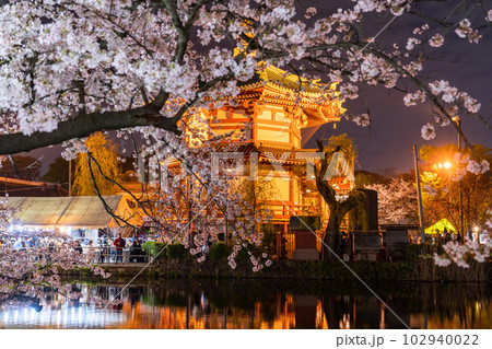 《東京都》桜満開の不忍池・春の上野公園 《東京都》桜満開の不忍池・春の上野公園 102940022
