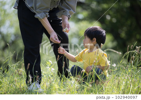 公園などで子どもと一緒に遊ぶ親　シロツメクサで遊ぶ 102940097