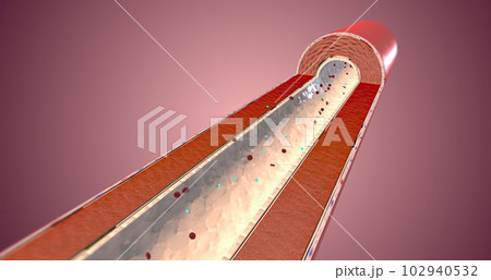 Vasopressin, a hormone released due to the presence of angiotensin II, affects the way arteries work 102940532